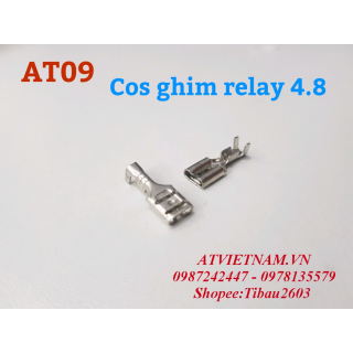 Cos Kèn,Cos Cắm Relay Nhỏ ( 1 Bịch 50 cái )